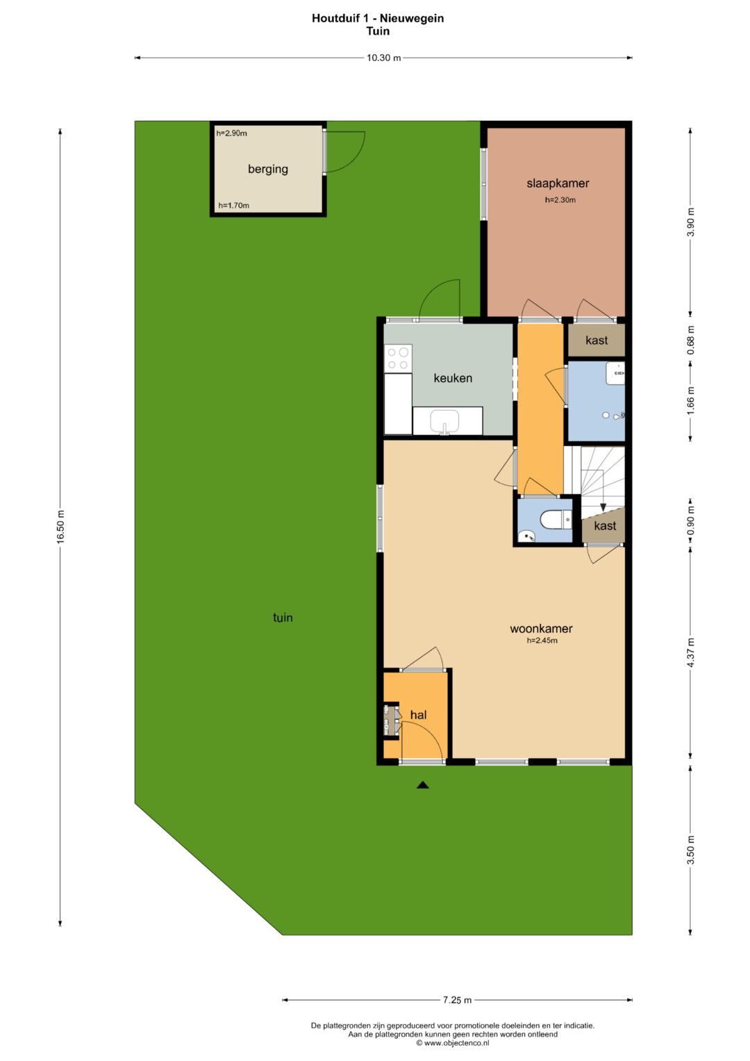 Foto 30 van Houtduif 1