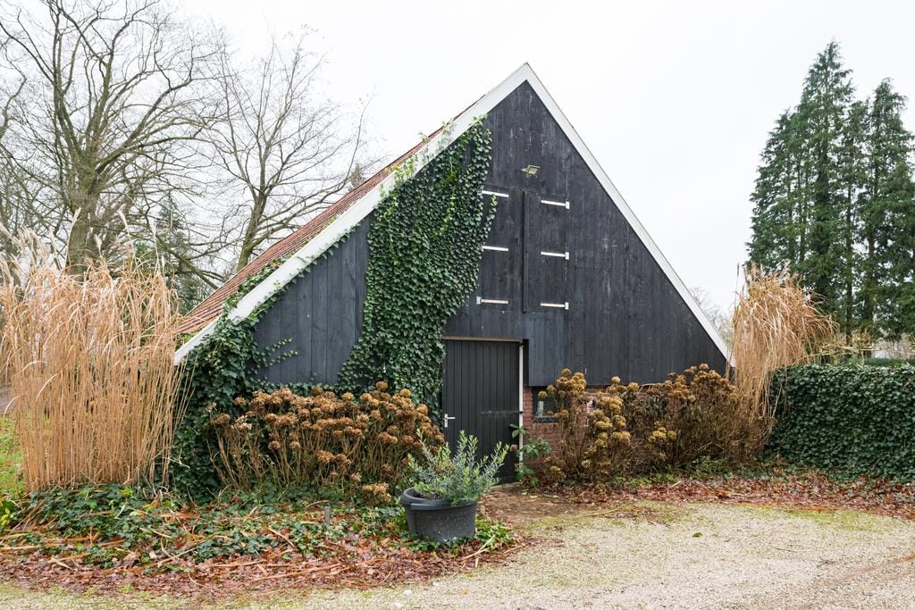 Photo 18 of Honesweg 12