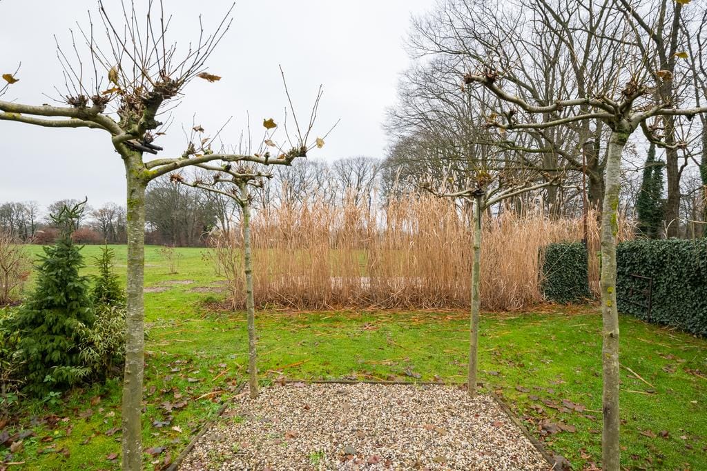 Photo 44 of Honesweg 12