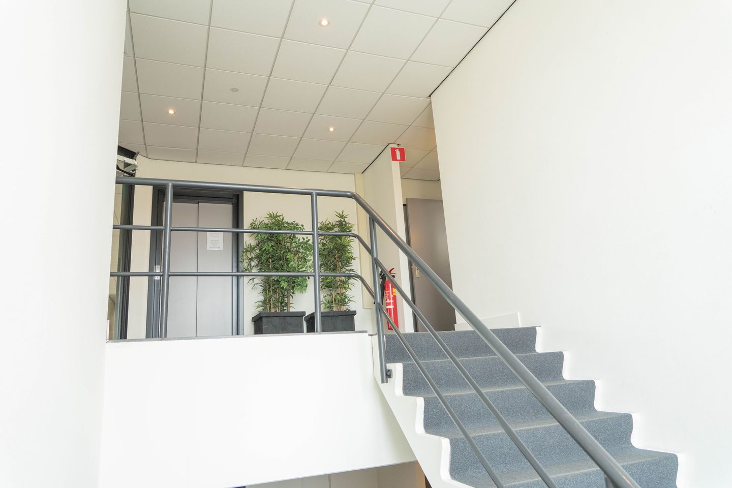 Bekijk foto 4 van Plantageweg 45
