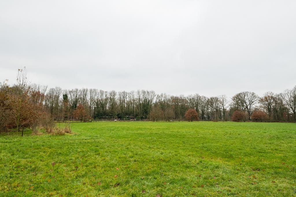 Photo 46 of Honesweg 12