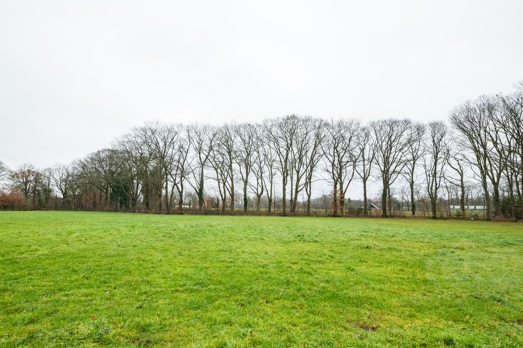 Photo 47 of Honesweg 12
