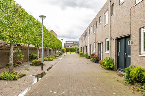 Damsterwaard thumbnail