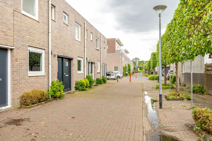 Foto 4 van Damsterwaard 18
