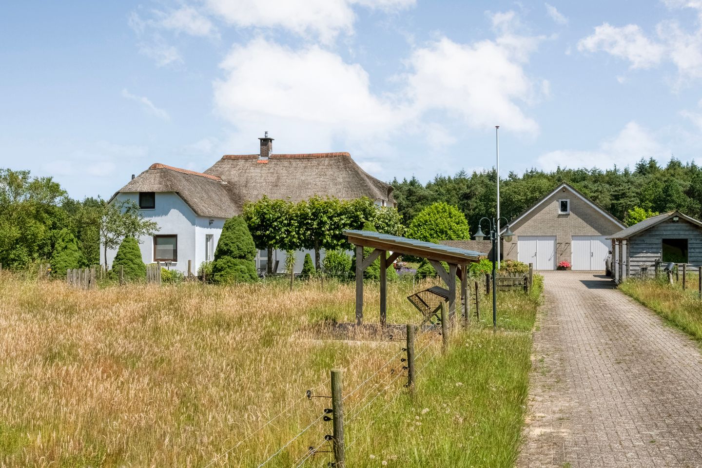 Foto 5 van Stapelhaarspad 2