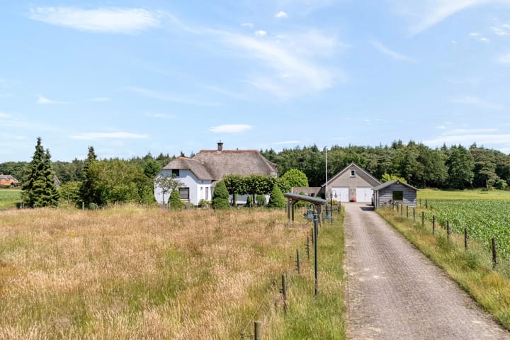 Foto 4 van Stapelhaarspad 2