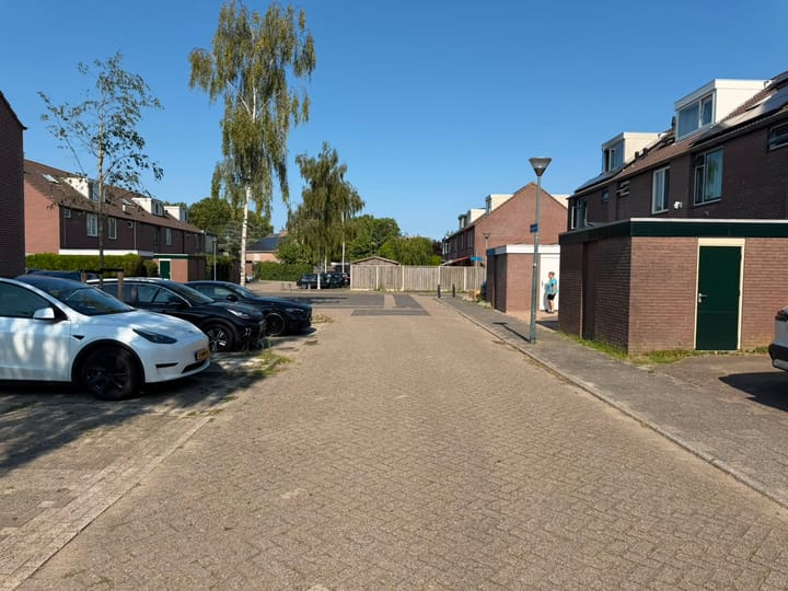 Foto 3 van Meeuwenveld 78