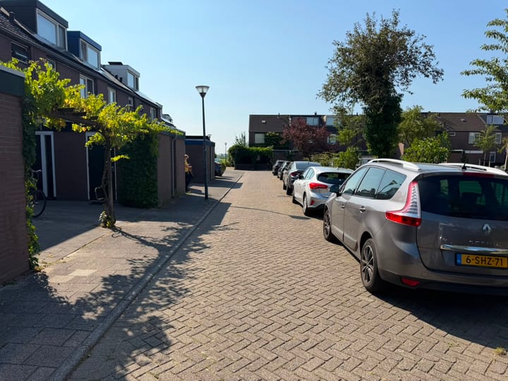 Foto 2 van Meeuwenveld 78