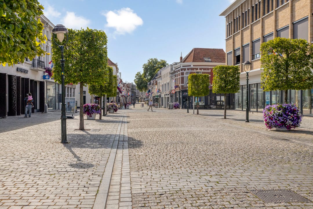 Foto 46 van Meeussenstraat 22