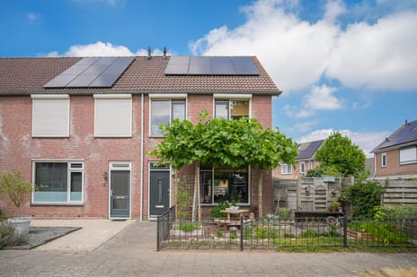 Reigerstraat thumbnail