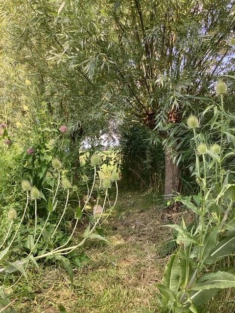 Photo 14 of Eilandspolder 857