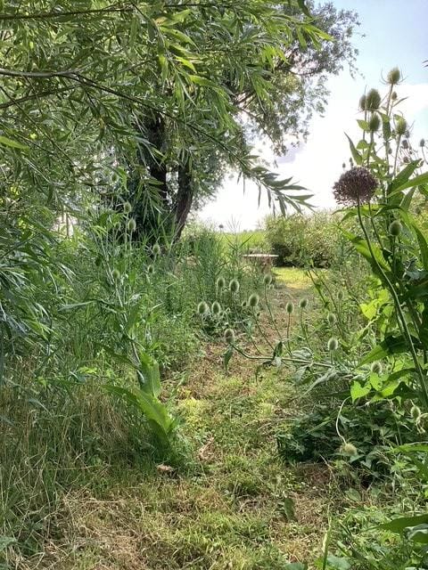 Photo 15 of Eilandspolder 857