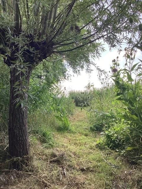 Photo 22 of Eilandspolder 857
