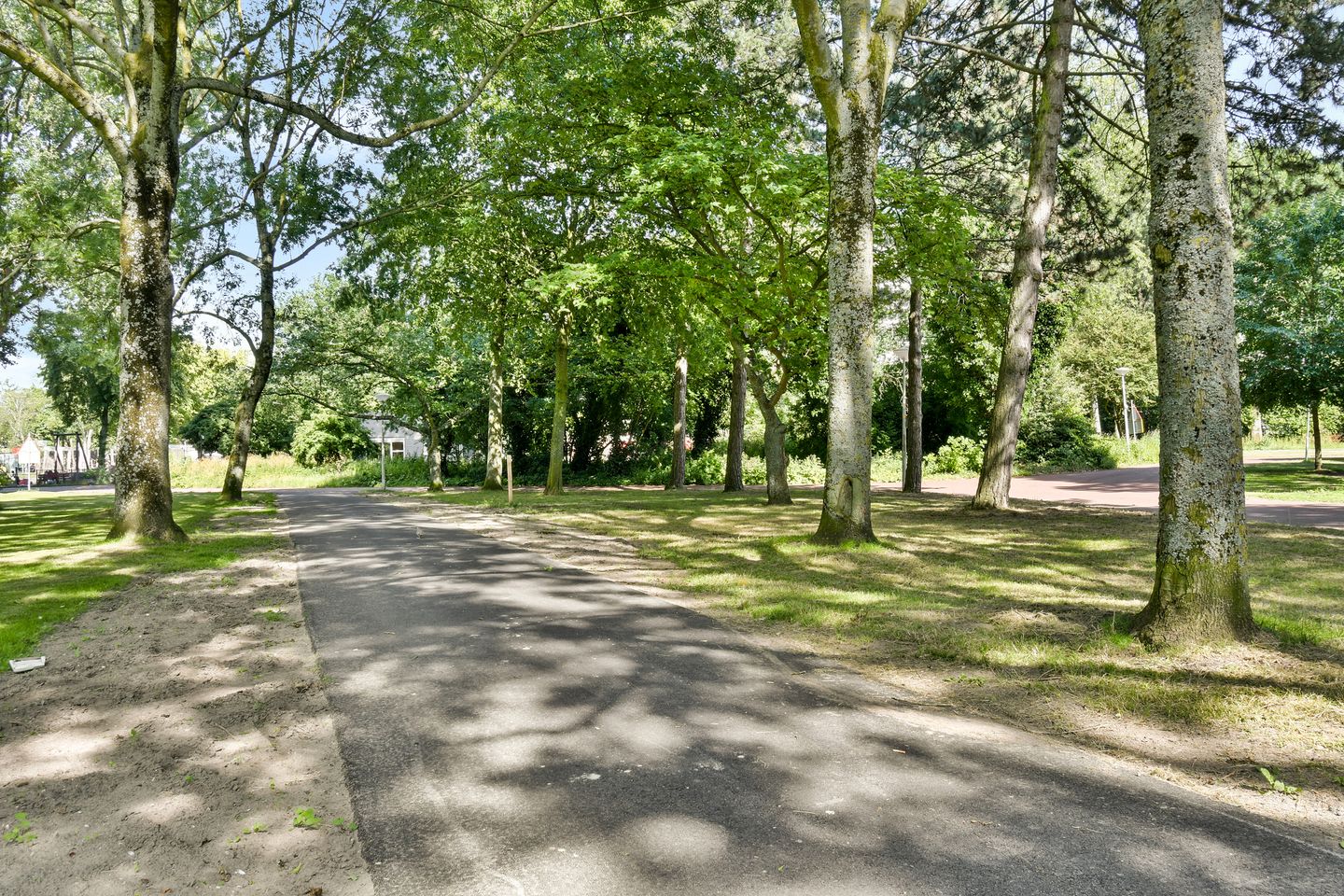 Photo 34 of Torenmolen 60