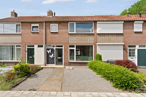 Notenstraat thumbnail
