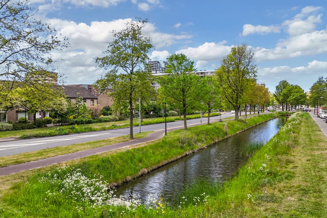 Foto 41 van Laan der Nederlanden 174