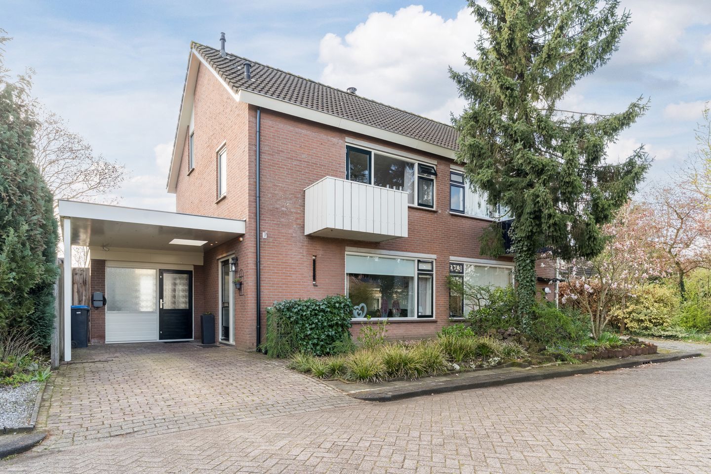 Foto 1 van Ridderspoor 9