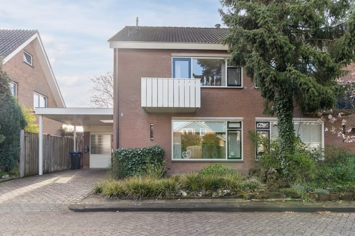 Foto 4 van Ridderspoor 9
