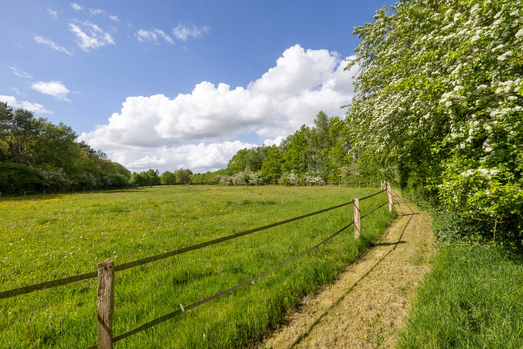 Photo 113 of Larixweg 8