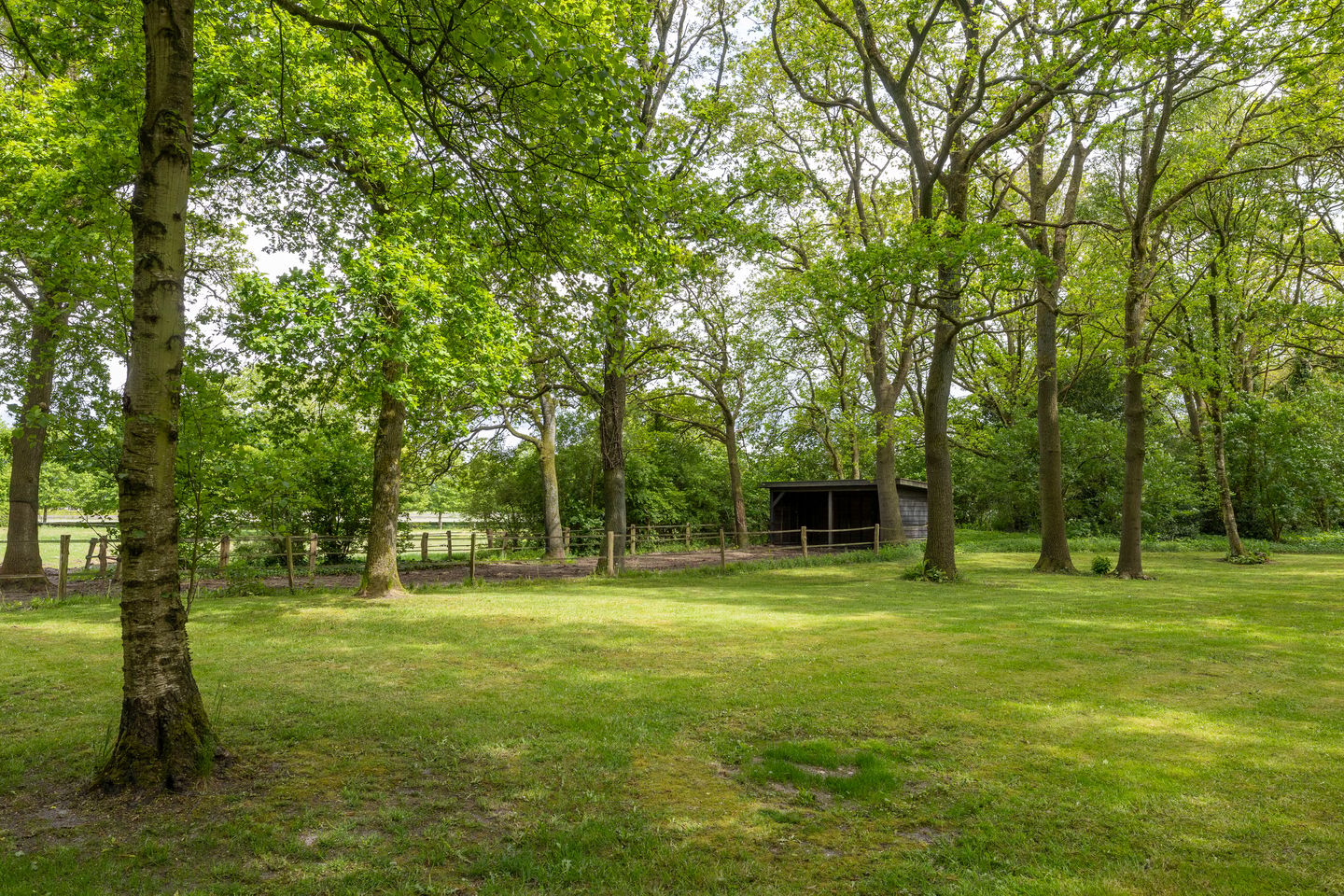 Photo 110 of Larixweg 8
