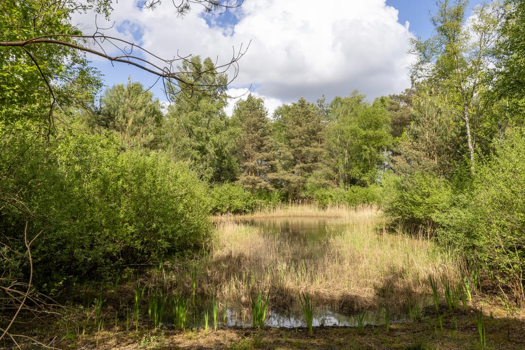 Photo 116 of Larixweg 8