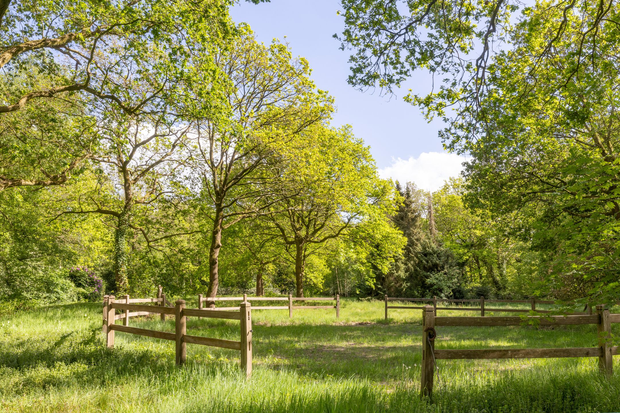 Photo 111 of Larixweg 8