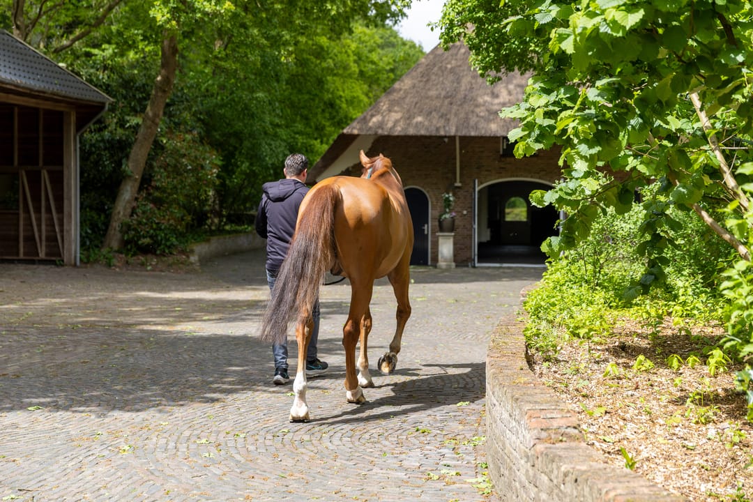Photo 103 of Larixweg 8