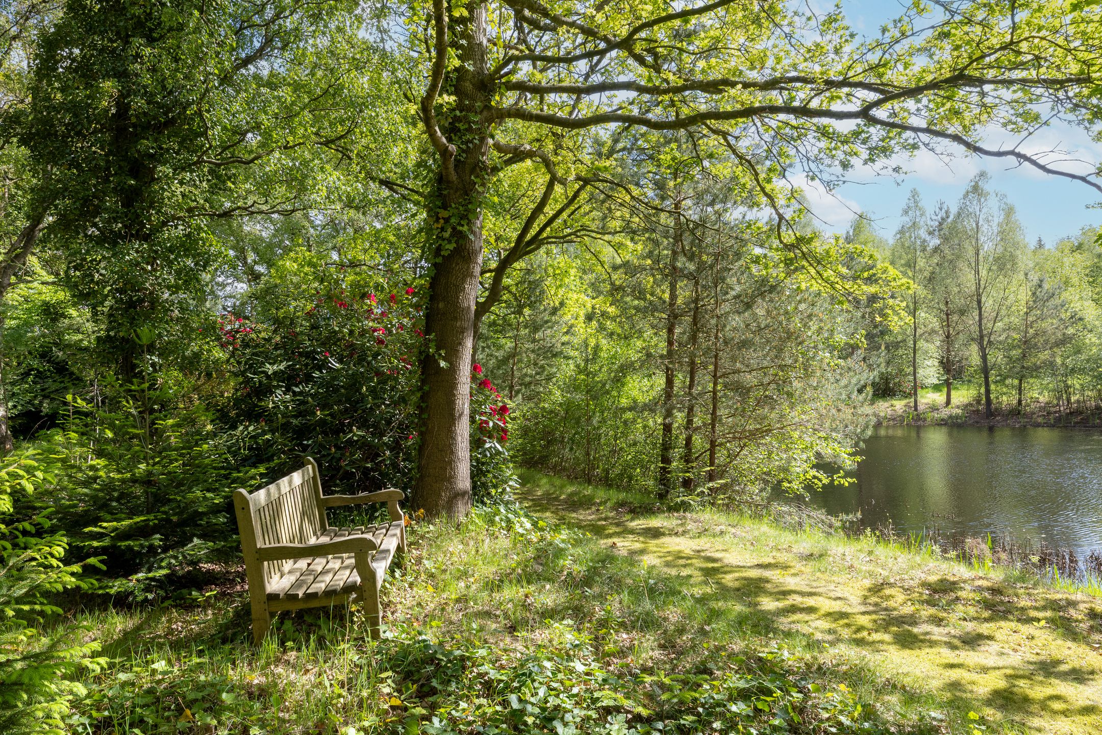 Photo 117 of Larixweg 8