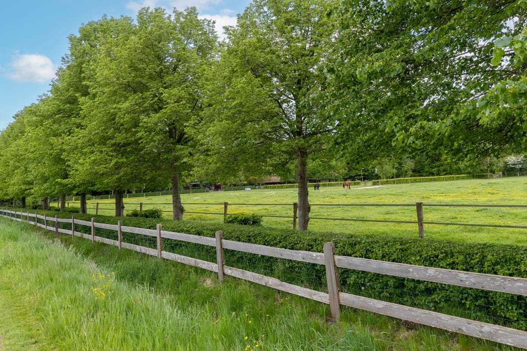 Photo 112 of Larixweg 8