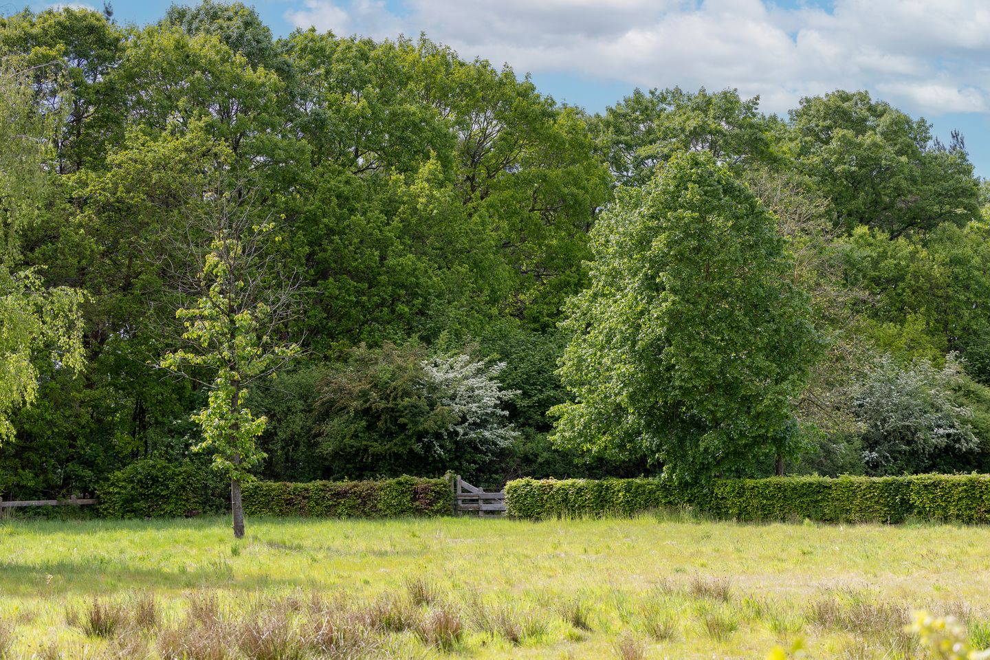 Photo 115 of Larixweg 8