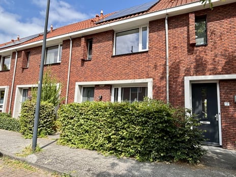 Pieter de Swartstraat thumbnail