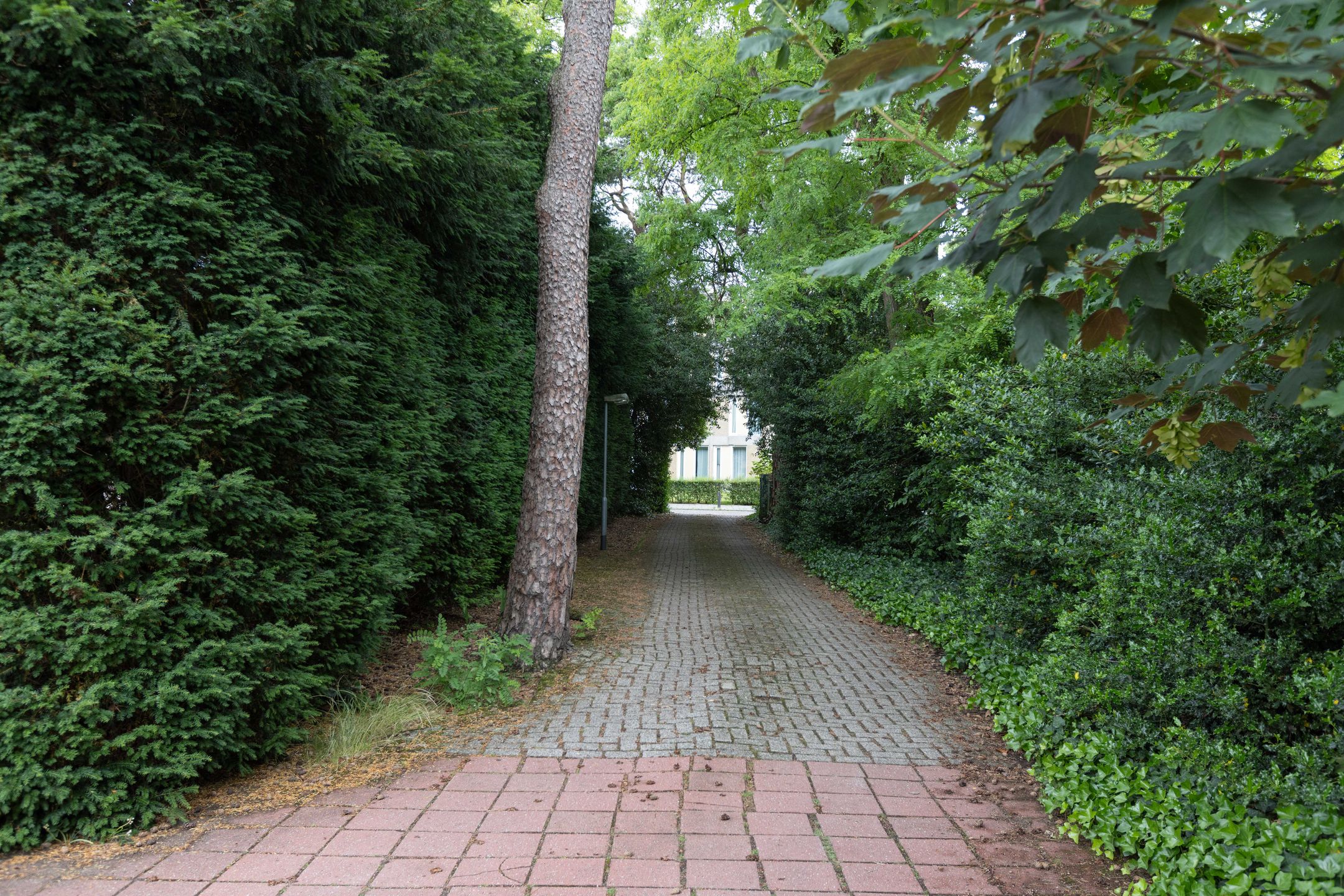 Foto 27 van Soestdijkerstraatweg 79
