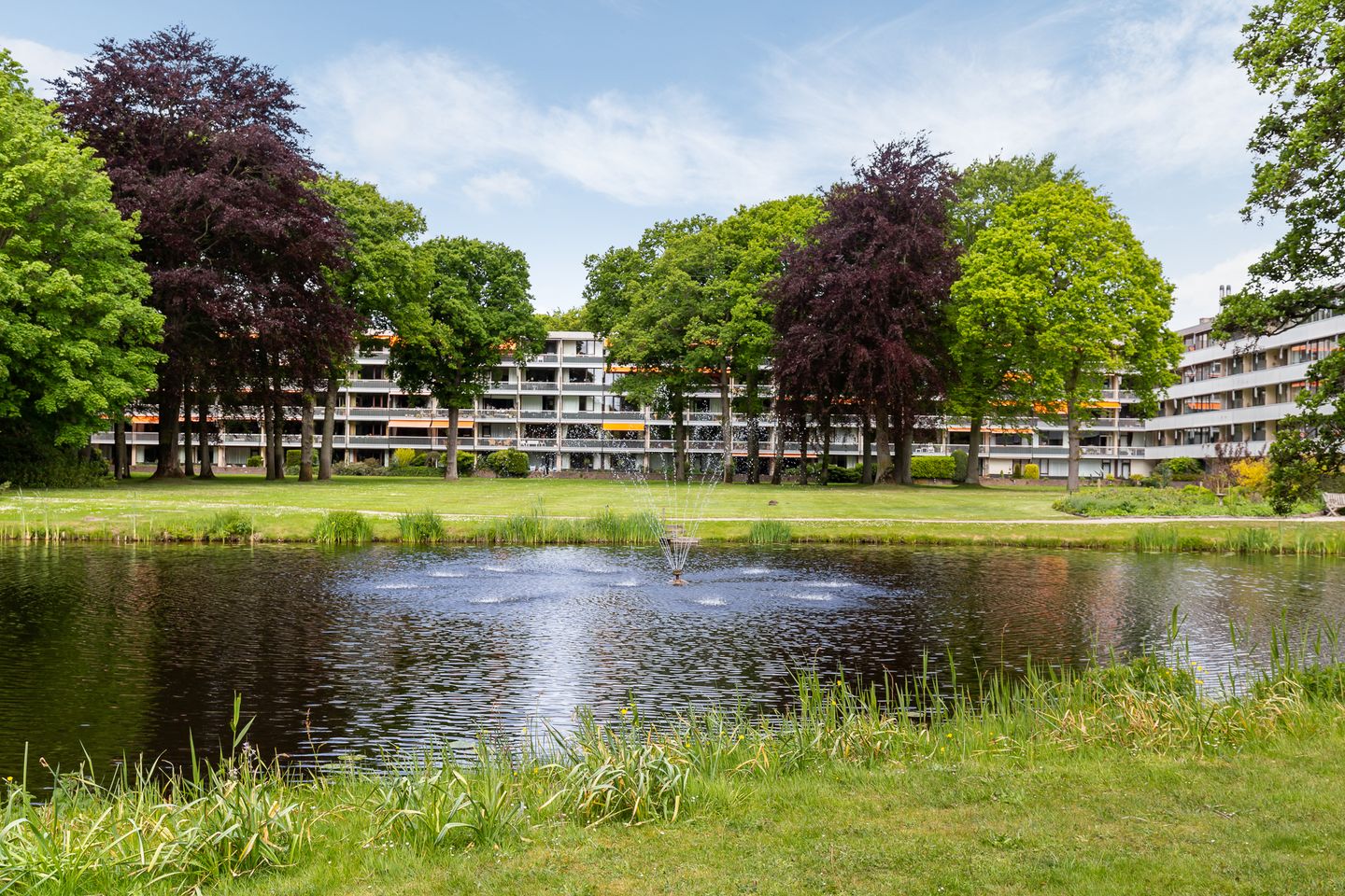 Foto 14 van Stoeplaan 11-F8