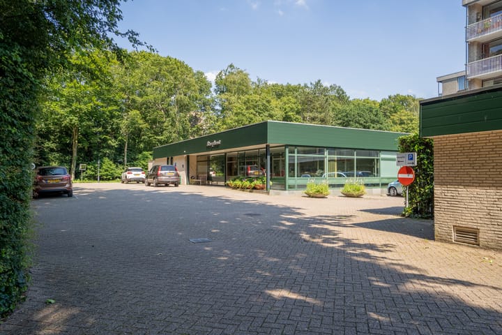 Appartement te koop: Stoeplaan 11F8, Wassenaar