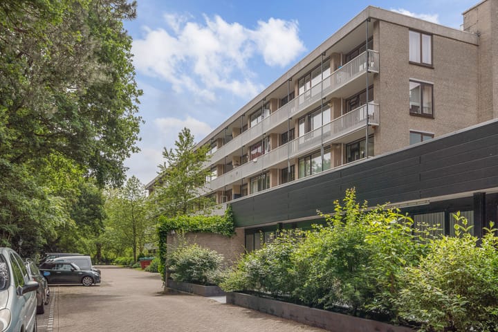Foto 4 van Stoeplaan 11-F8