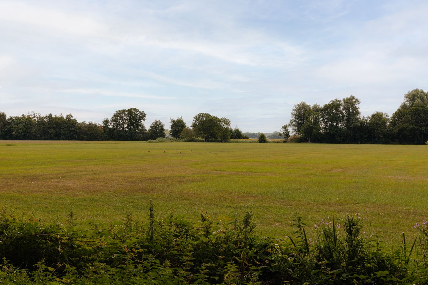 Photo 50 of Eikendael 32