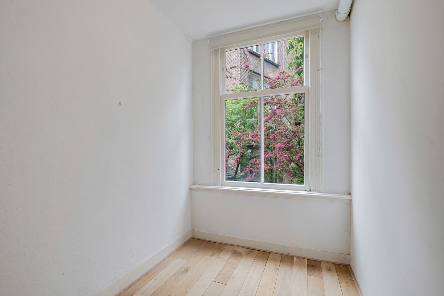 Foto 14 van Schieveenstraat 47-B