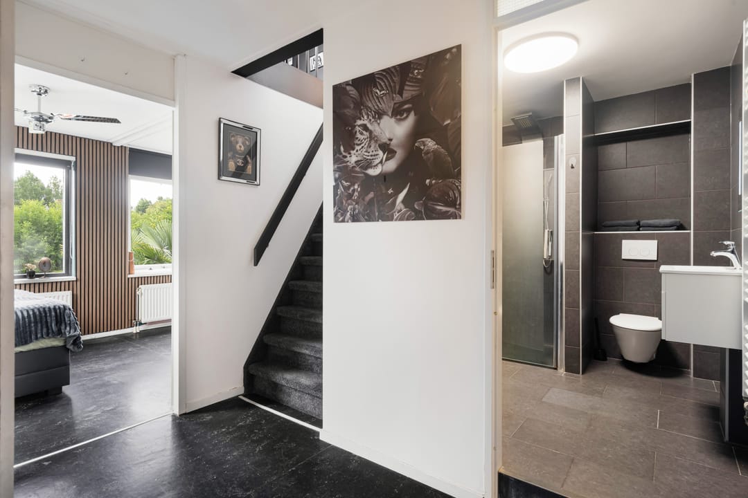 Foto 41 van Steeckterpolderstraat 19