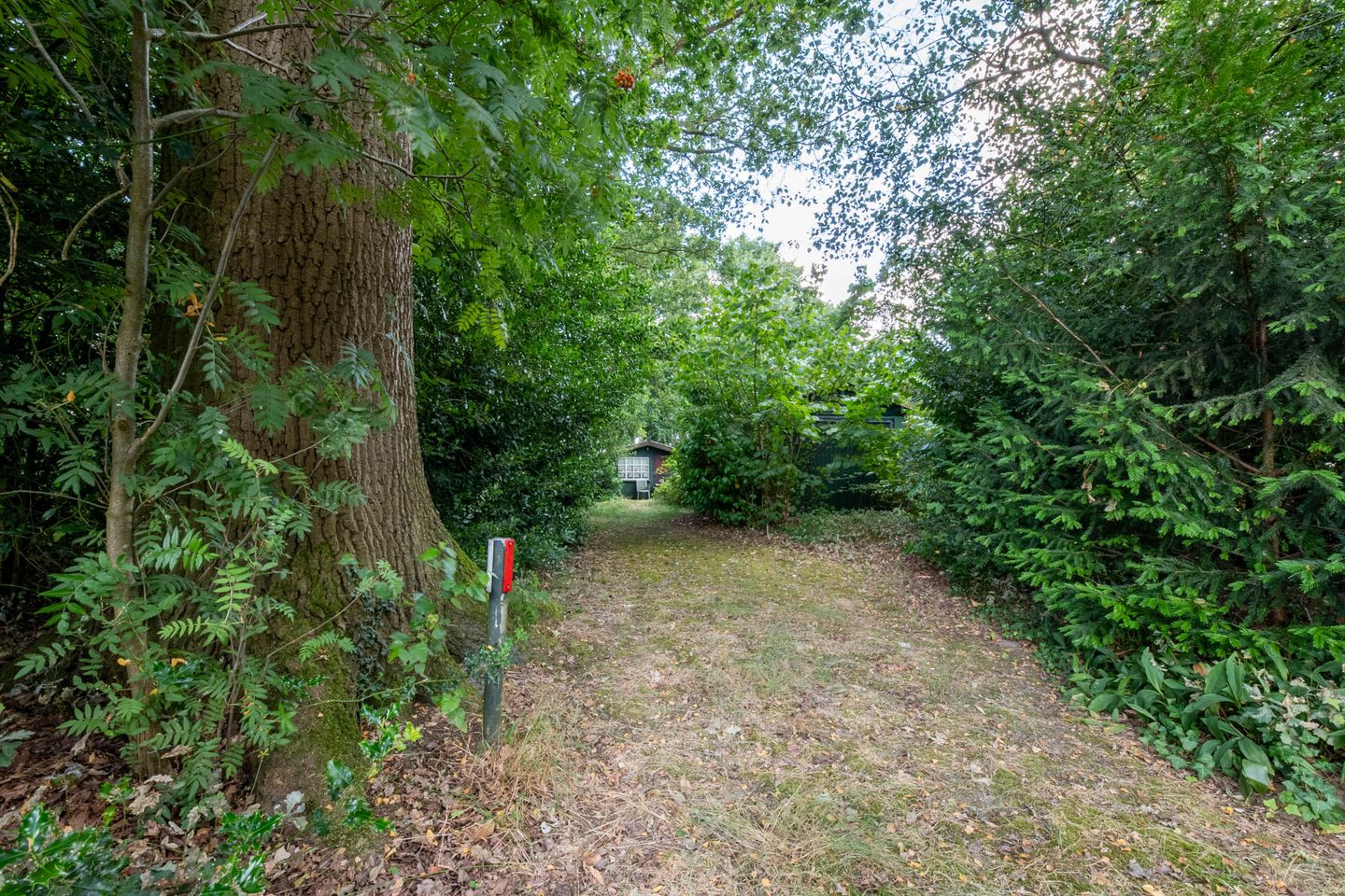 Foto 10 van Lochemseweg 11-B