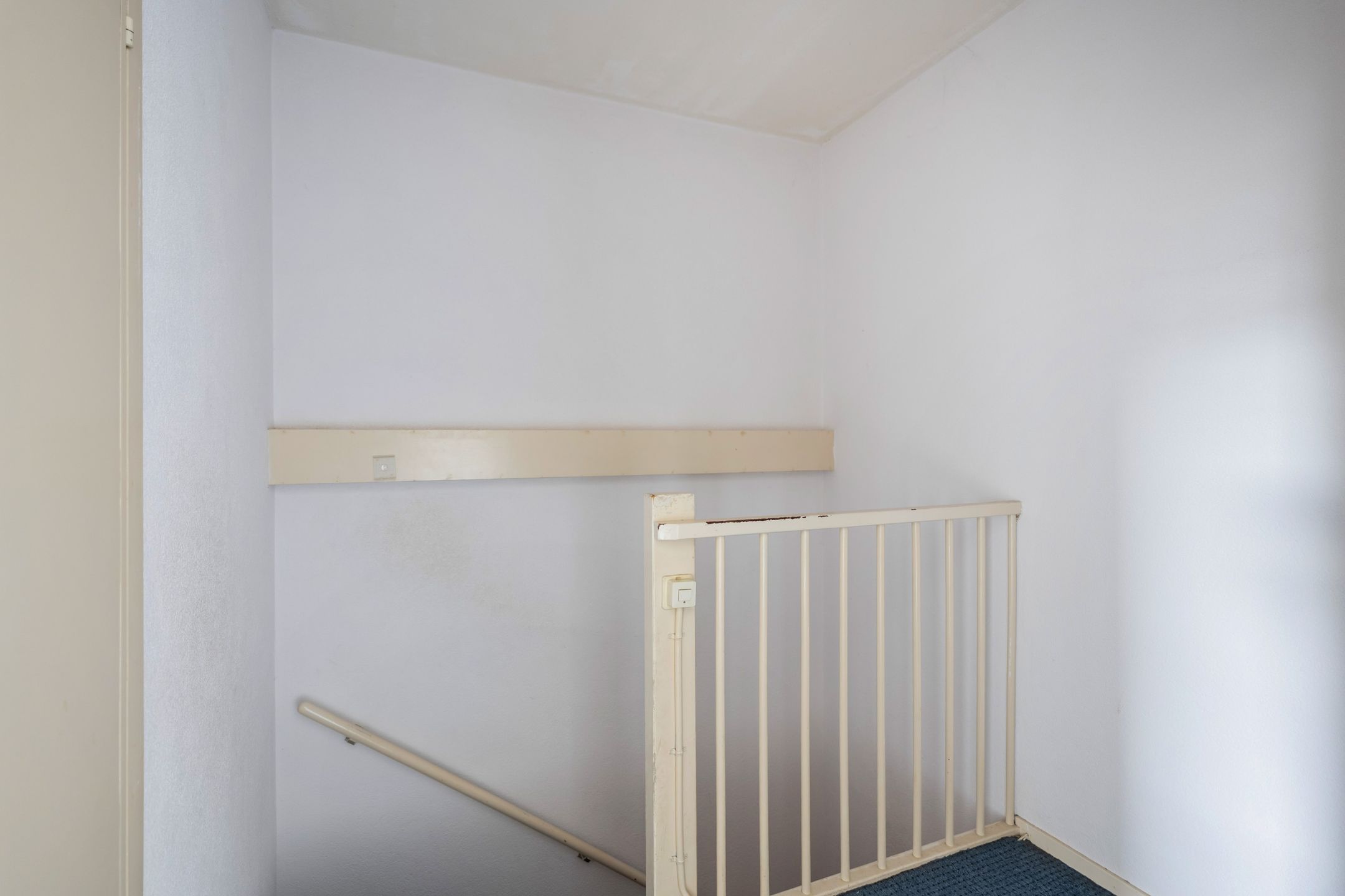 Photo 30 of Goudplevier 37