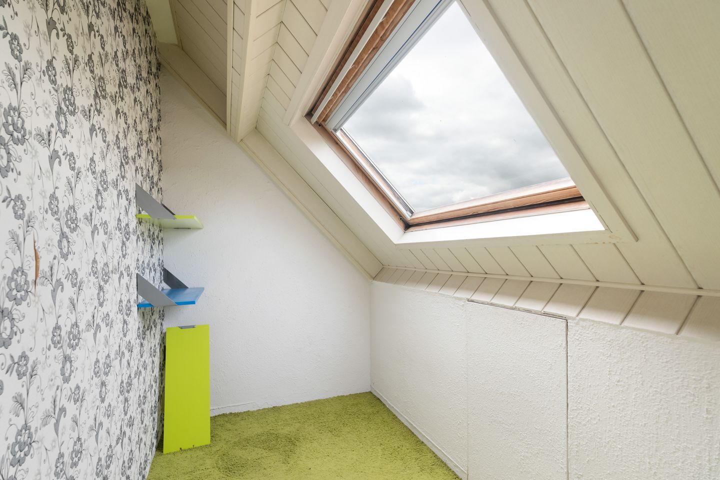 Photo 35 of Goudplevier 37