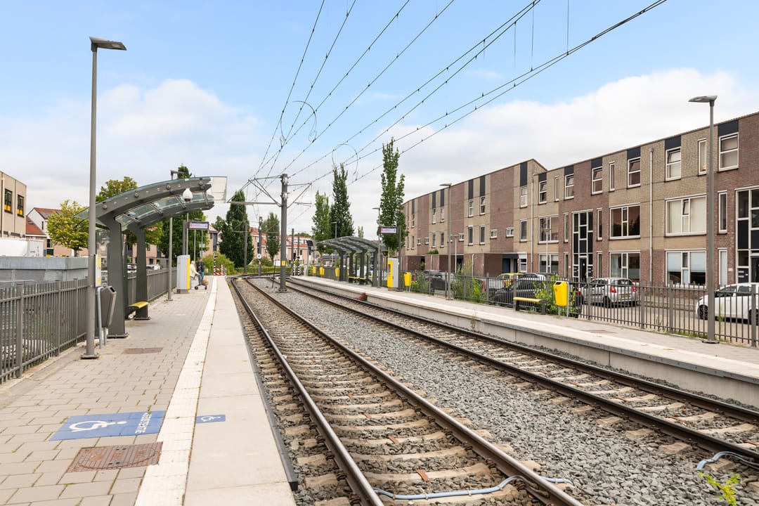 Photo 41 of Goudplevier 37