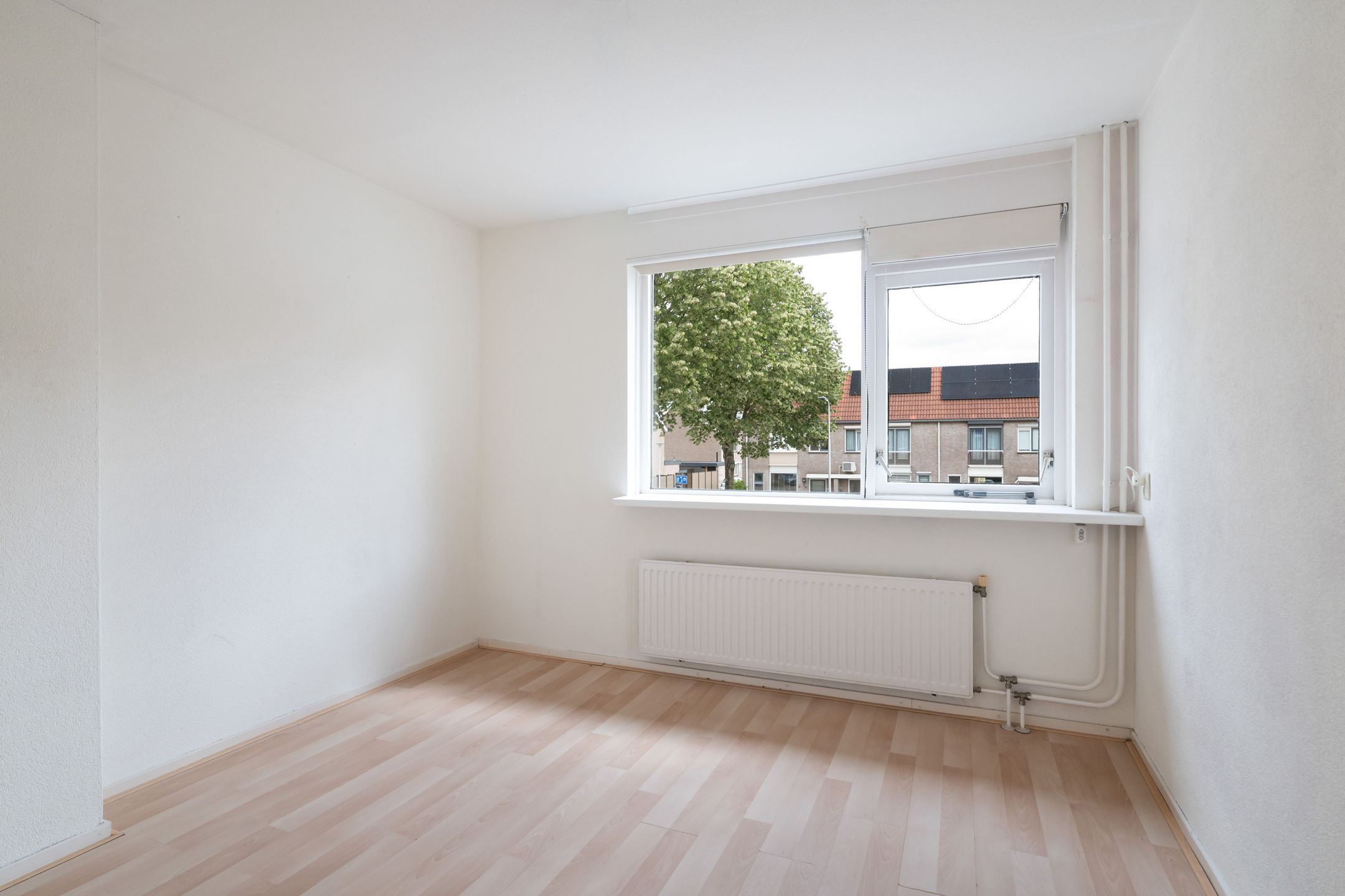 Photo 24 of Goudplevier 37
