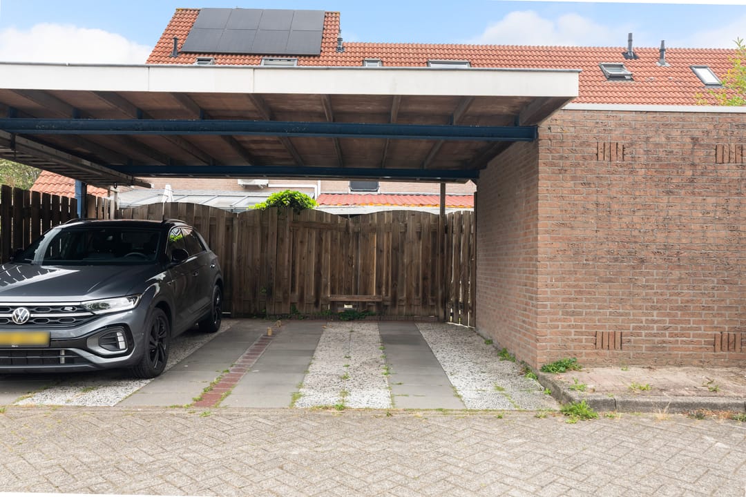Photo 38 of Goudplevier 37