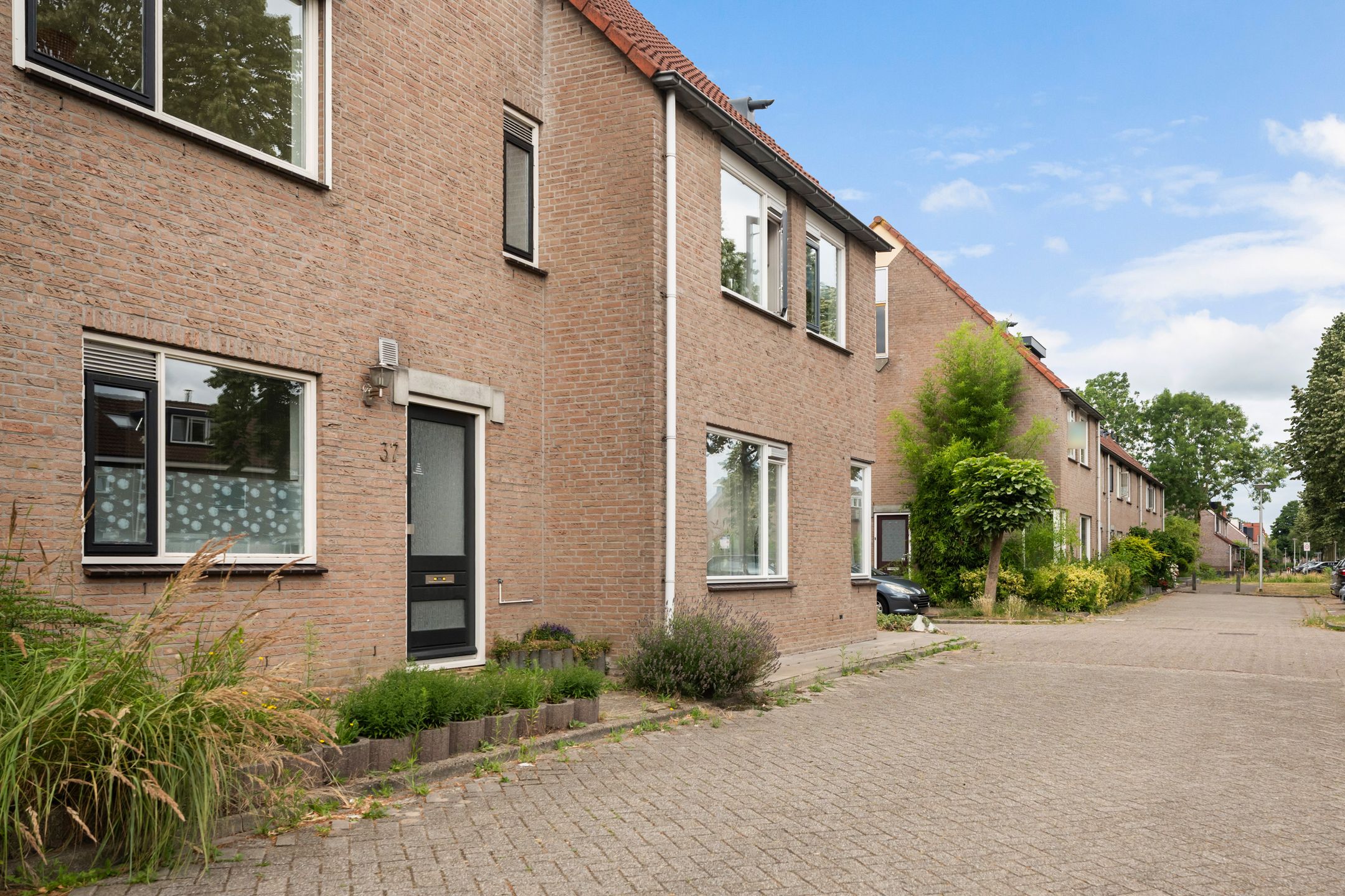 Photo 6 of Goudplevier 37