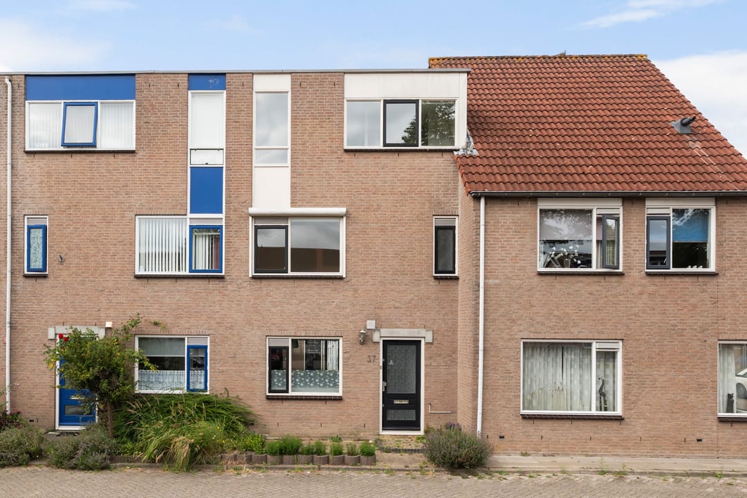 Photo 37 of Goudplevier 37