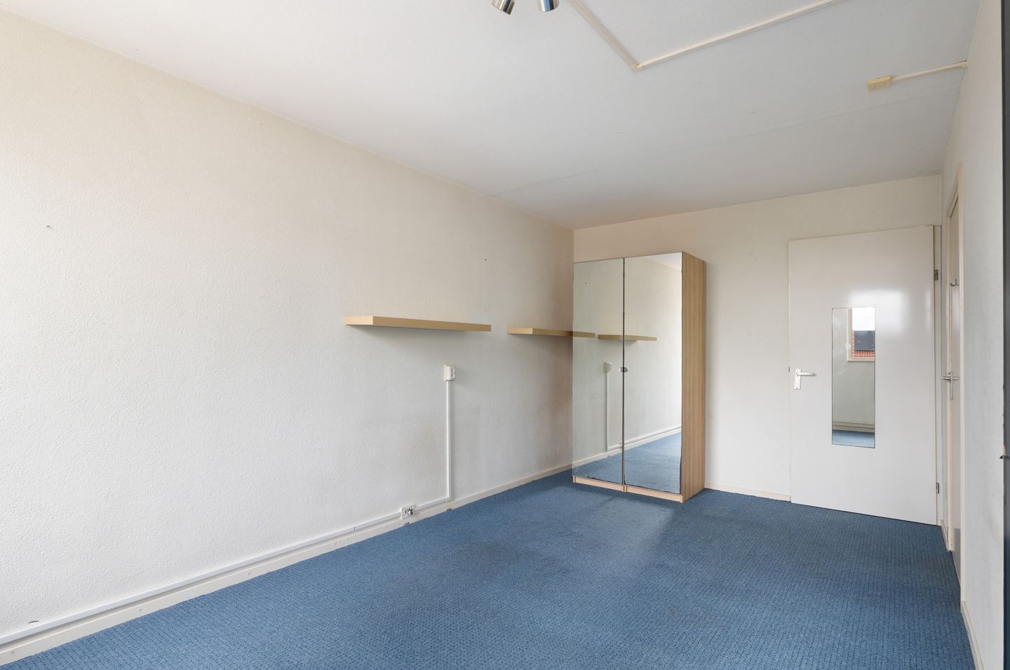 Photo 34 of Goudplevier 37