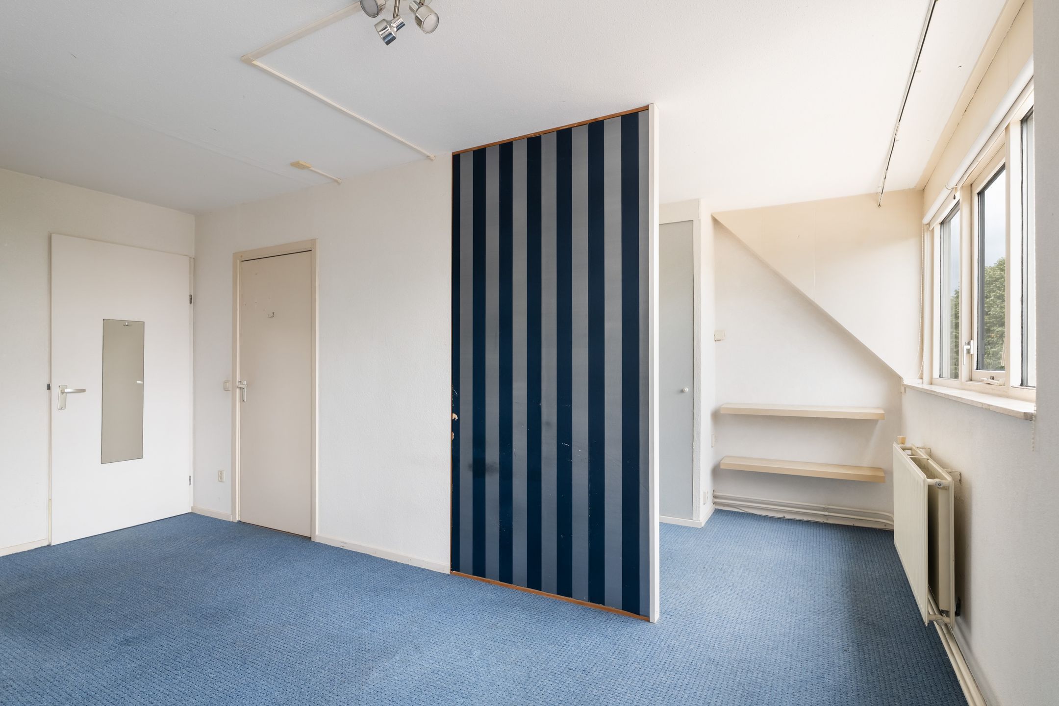 Photo 33 of Goudplevier 37