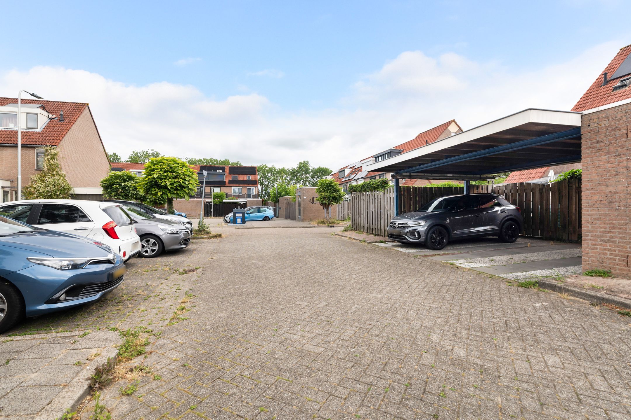 Photo 39 of Goudplevier 37