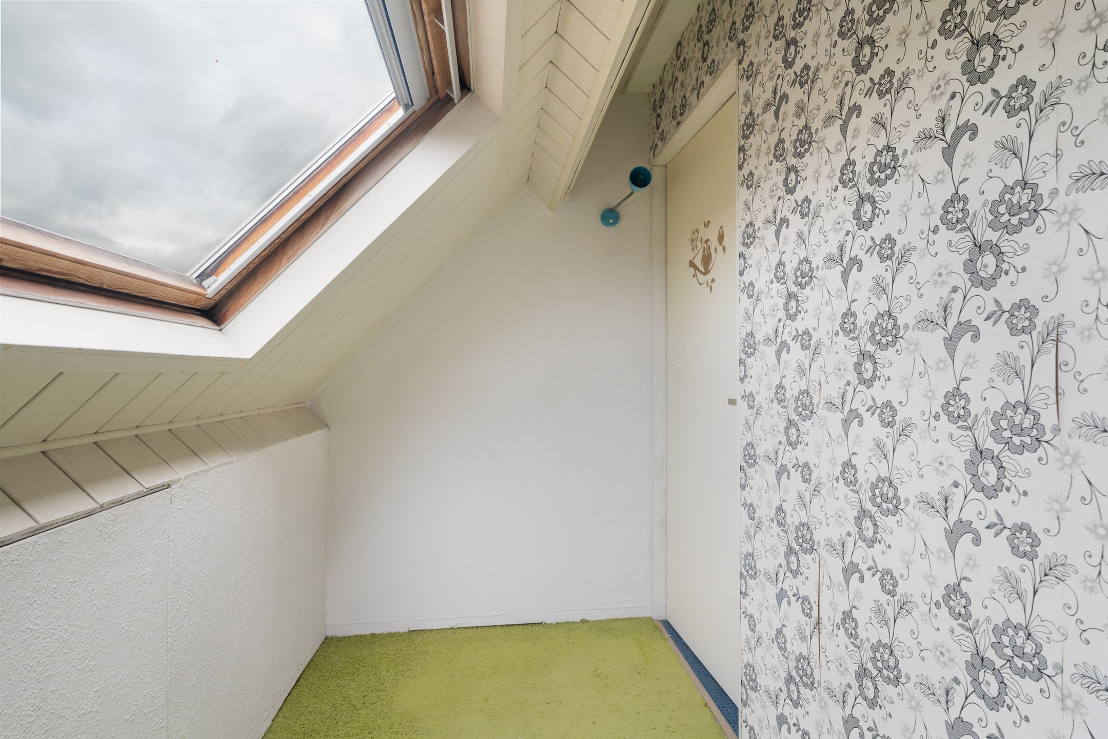 Photo 36 of Goudplevier 37